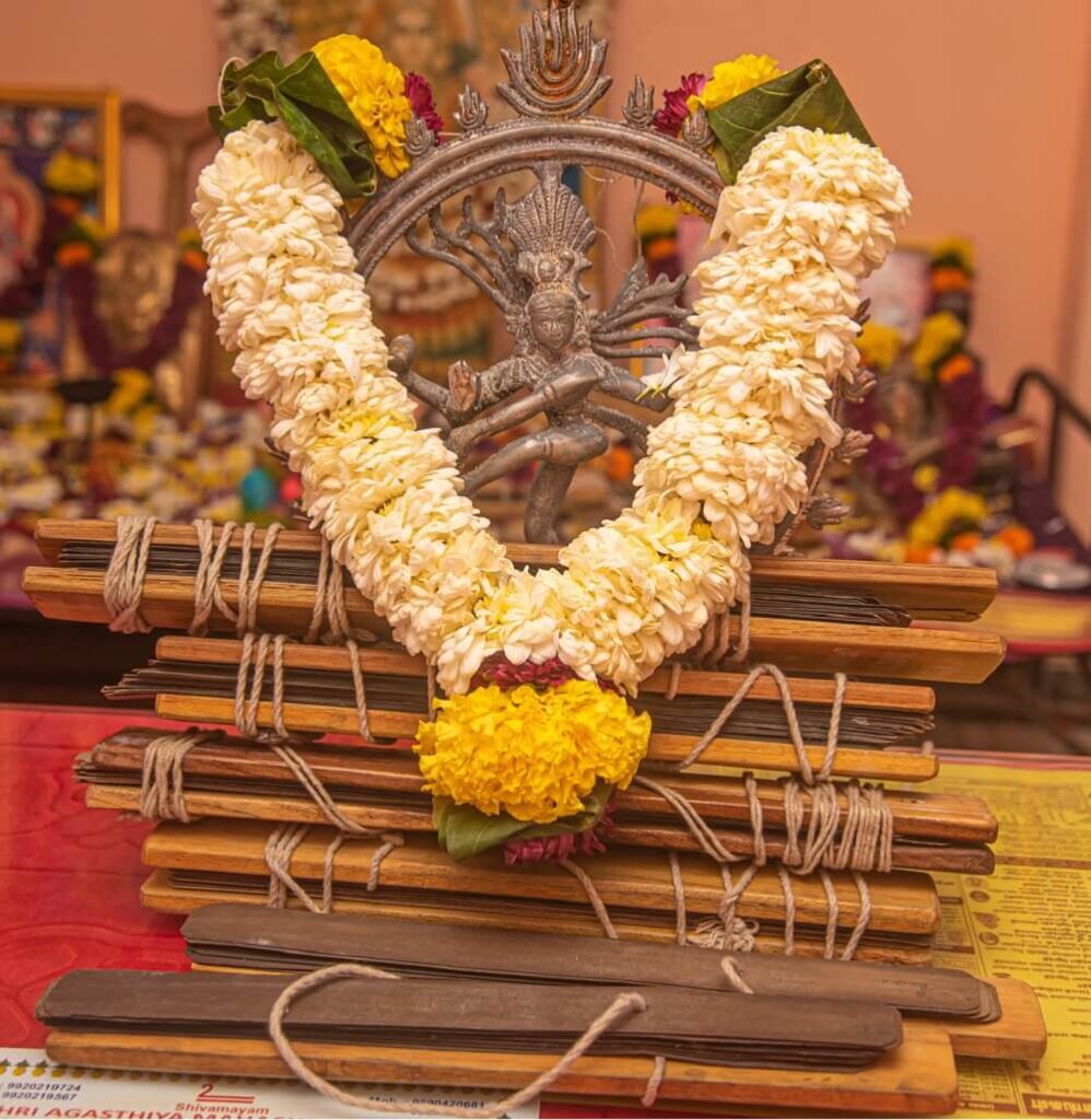 nadi astrology history